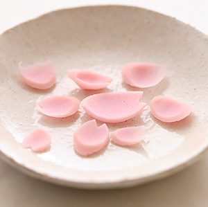 20070310-hanabira_1570-web