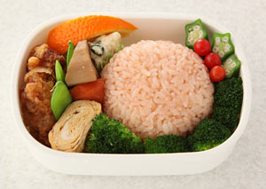 きょうの料理　ビギナーズ　11月号　はつえさん弁当