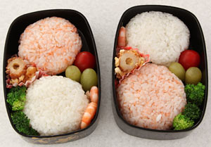 着物で冬休み弁当 2010_11_11kanetetu_0109.jpg