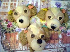 ショージ君さんの投稿—Special guest’s Work 20110531syo-jikun.jpg