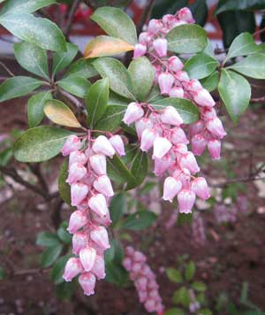 2010-0402asebi_4975.jpg