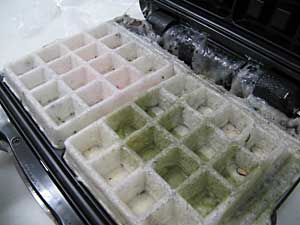 もっふる もっふる