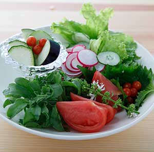 自家製野菜のサラダ