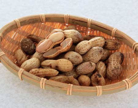 20091231pi-natu_6974 20091231pi-natu_6974