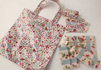 れなぞうリーダーの作品