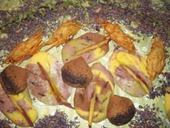 ショージ君さんの投稿