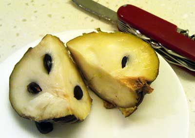 Thumbnail of post image 013