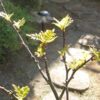 Thumbnail of related posts 130