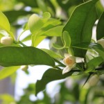 Thumbnail of related posts 090