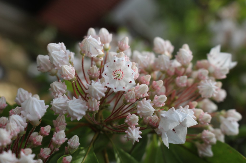 Thumbnail of post image 087