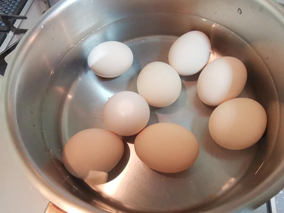 卵を茹でる