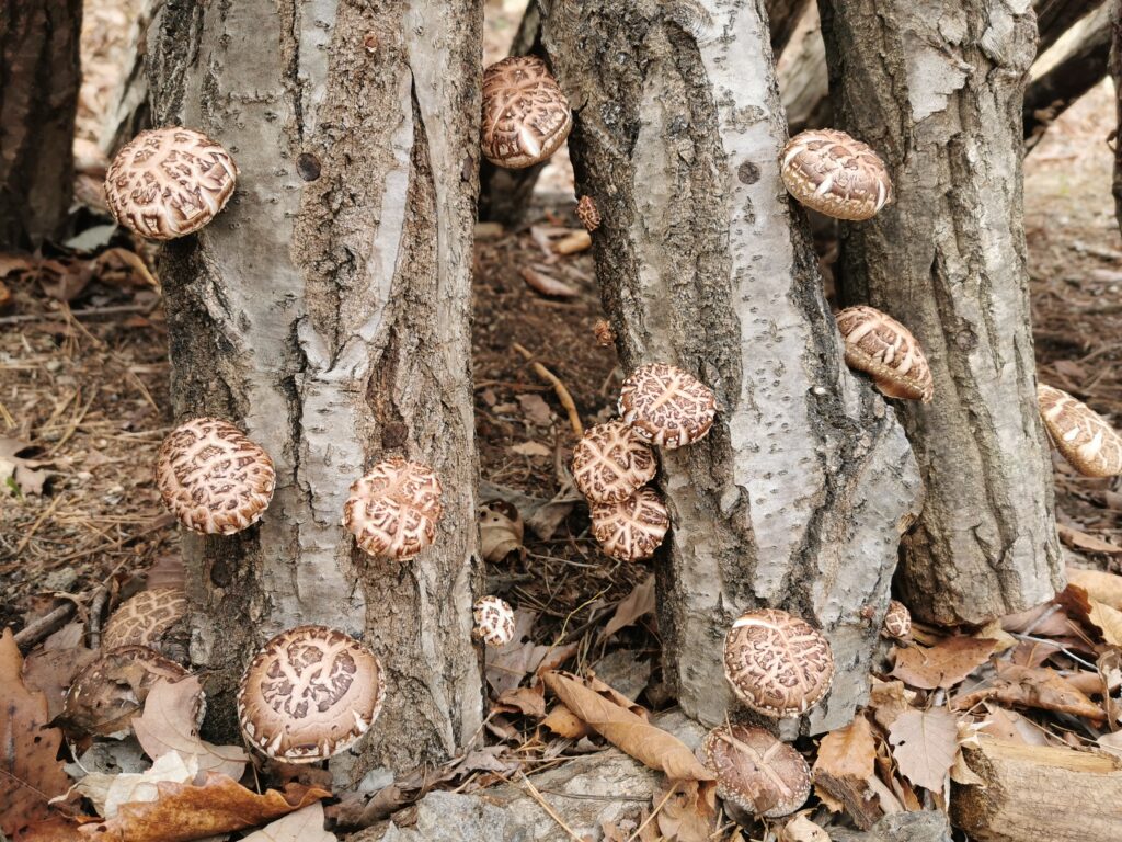 Thumbnail of post image 013